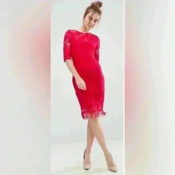 Paperdolls London midi Dress Red Lace Size 10 Special Occasion Wedding Guest - Picture 1 of 12